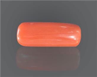 Natural Coral  7.91RTS-27532